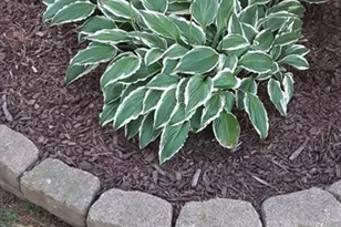 10 Indian Point Rd, Webster, MA 01570 - Photo 41