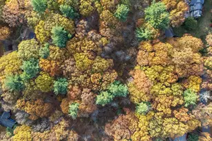 89 Lexington Rd, Lincoln, MA 01773 - Photo 7