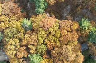 89 Lexington Rd, Lincoln, MA 01773 - Photo 5