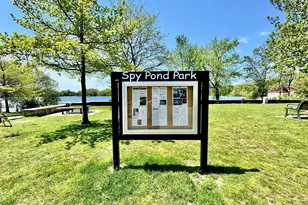 12 Pond, Arlington, MA 02474 - Photo 3