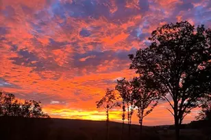 221 Bailey Rd, Lanesborough, MA 01237 - Photo 41