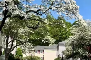 575 Union Ave, Framingham, MA 01702 - Photo 31