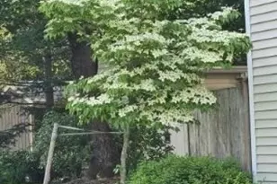 26 Fagan, Uxbridge, MA 01569 - Photo 27