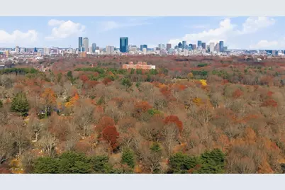 586 Canterbury Street, Boston, MA 02131 - Photo 13