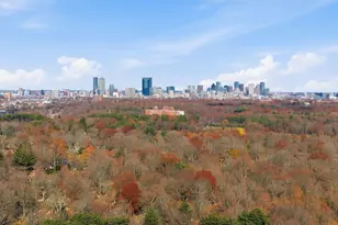 586 Canterbury St, Boston, MA 02131 - Photo 13