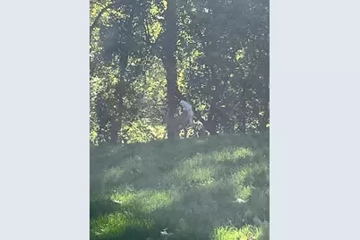 620 Edmands Rd, Framingham, MA 01701 - Photo 41