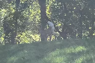 620 Edmands Rd, Framingham, MA 01701 - Photo 41