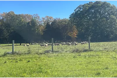 295 Cherry St, Middleborough, MA 02346 - Photo 15