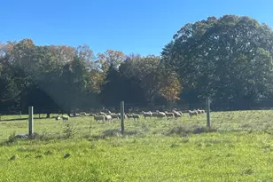 295 Cherry St, Middleborough, MA 02346 - Photo 15