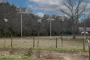 295 Cherry St, Middleborough, MA 02346 - Photo 19