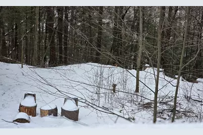 71 George Lamb Road, Leyden, MA 01337 - Photo 17