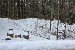 71 George Lamb Rd, Leyden, MA 01337 - Photo 17