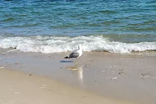 24 Federal Ln, Dennis, MA 02638 - Photo 39