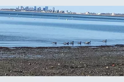 610 Humphrey Street #1, Swampscott, MA 01907 - Photo 15