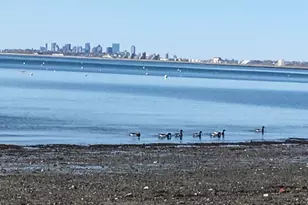 610 Humphrey St, Swampscott, MA 01907 - Photo 15