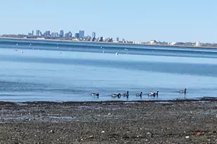 610 Humphrey St, Swampscott, MA 01907 - Photo 7