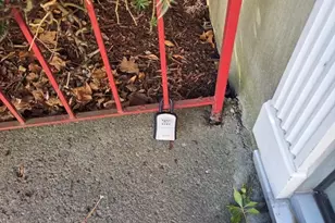 190 Lake Shore Rd, Boston, MA 02135 - Photo 21