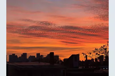 5 Breed St #4, Boston, MA 02128 - Photo 17