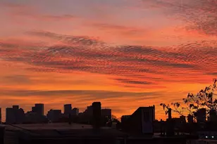 5 Breed St, Boston, MA 02128 - Photo 17