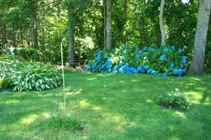 36 Island St, Dennis, MA 02638 - Photo 39