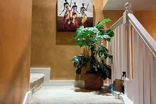 15 Marden Ave, Boston, MA 02124 - Photo 21