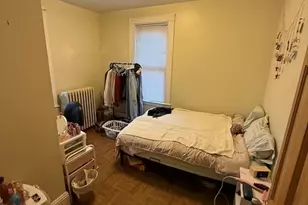 10 Eldora St, Boston, MA 02120 - Photo 17