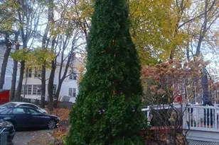 156 Summer St, Fitchburg, MA 01420 - Photo 17