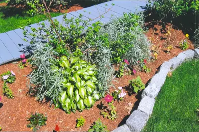 156 Summer St, Fitchburg, MA 01420 - Photo 35