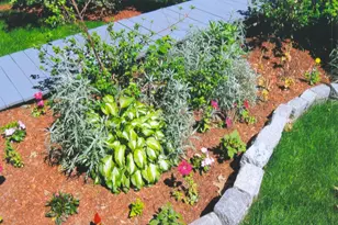 156 Summer St, Fitchburg, MA 01420 - Photo 35