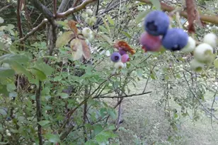 54 High St, Monson, MA 01057 - Photo 13