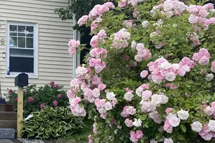 6 Monroe Ct, Gloucester, MA 01930 - Photo 33