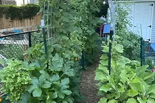 378 School St, Watertown, MA 02472 - Photo 23