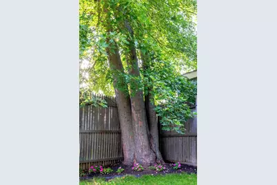 23 Winthrop Ave #1, Beverly, MA 01915 - Photo 35