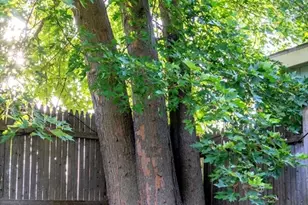 23 Winthrop Ave, Beverly, MA 01915 - Photo 35