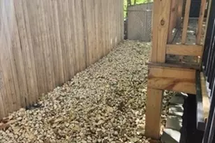 5 Monmouth St, Boston, MA 02128 - Photo 7