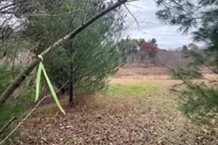 50 Cross St & 0 Cross (Rear), Lakeville, MA 02347 - Photo 41