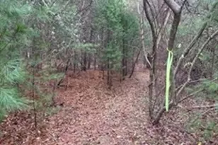50 Cross St & 0 Cross (Rear), Lakeville, MA 02347 - Photo 39