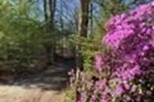 14 Car Mar Ln, Salem, NH 03079 - Photo 11