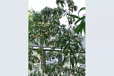 7 Concetta Cir, Acton, MA 01720 - Photo 31