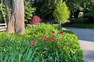 28 Tufts Rd, Lexington, MA 02421 - Photo 35