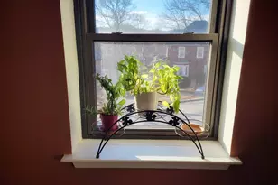 1029 Pleasant St, Worcester, MA 01602 - Photo 13