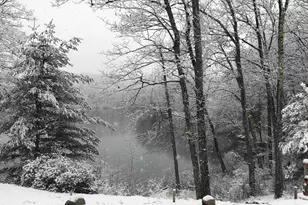 4 Alder Point, Westford, MA 01886 - Photo 37