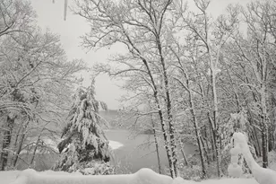 4 Alder Point, Westford, MA 01886 - Photo 41