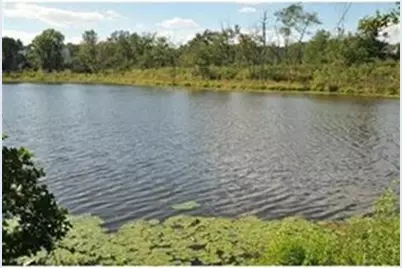 40 Cochituate #45, Framingham, MA 01701 - Photo 9