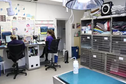 70 Beacon, Somerville, MA 02143 - Photo 5