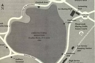 12 Ransom St, Boston, MA 02135 - Photo 21