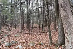 Lt 55 Wendell Rd, New Salem, MA 01355 - Photo 1