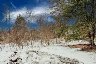 293 Morgan St, South Hadley, MA 01075 - Photo 37