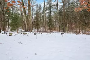 15 Canterbury Forest, Plaistow, NH 03865 - Photo 29