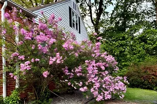 51 Candice Cir, Springfield, MA 01107 - Photo 33